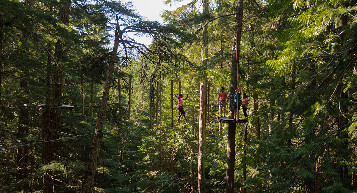 Springe Specialist Tale Tree Adventure Tours in Whistler | Tourism Whistler