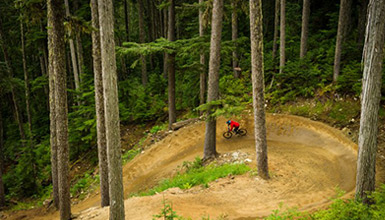 Person riding in the Whistler Mountain Bike Park
