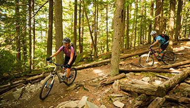 Riders in the forest while competing in XFONDO Whistler