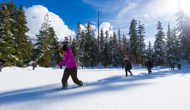 Snowshoeing and Teambuilding in Whistler