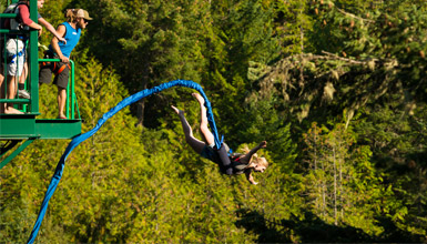 Bungee Jumping Whistler
