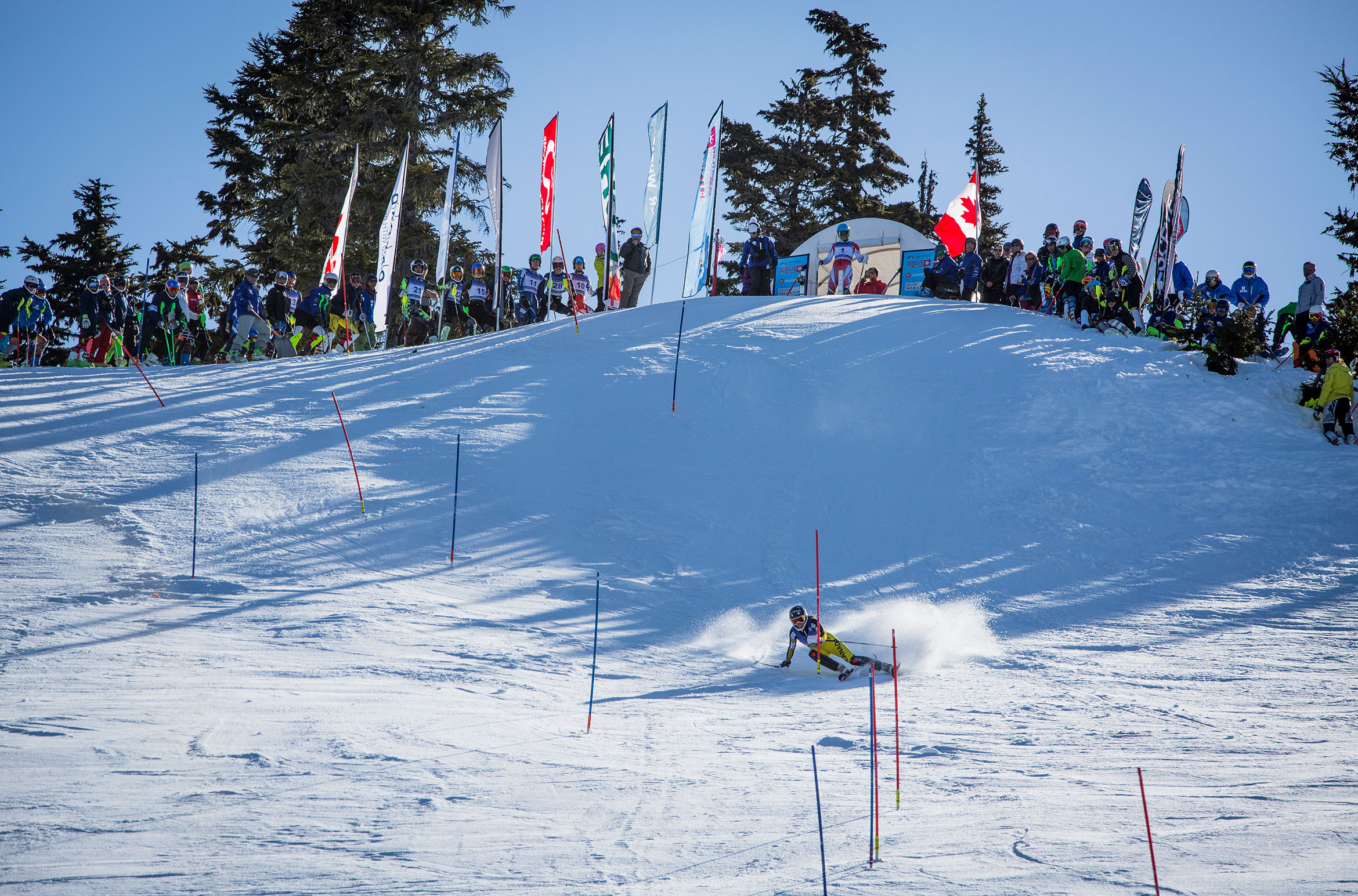 A skier racer tears down the Dave Murray Downhill in Whistler.