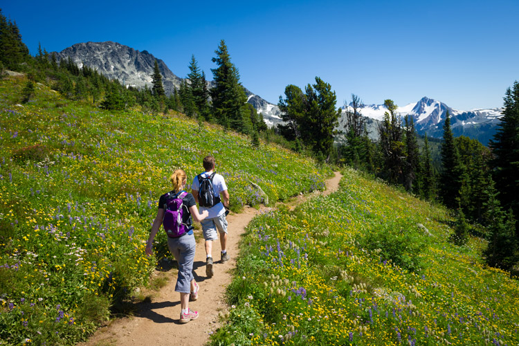 Whistler Top 5 Summer On-Mountain Activities - The Whistler Insider