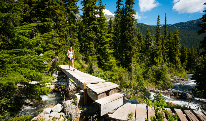 Rainbow Lake Hiking Trail Whistler Hiking: Rainbow Lake Trail