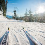 Tips of Nordic skis on tracks