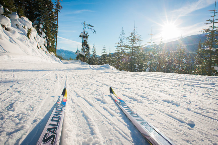 Tips of Nordic skis on tracks