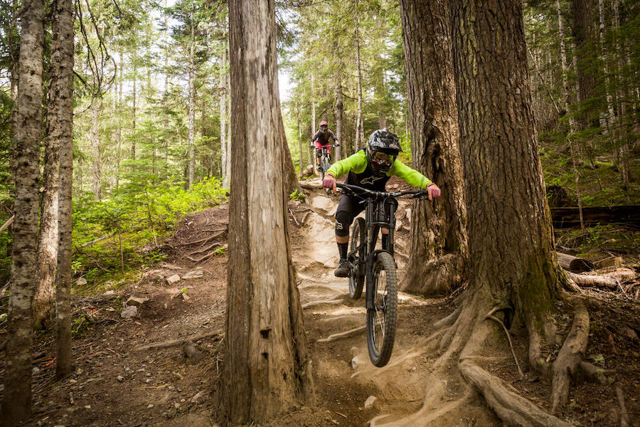 Two riders bike down the trails at the Whistler Mountain Bike Park. 