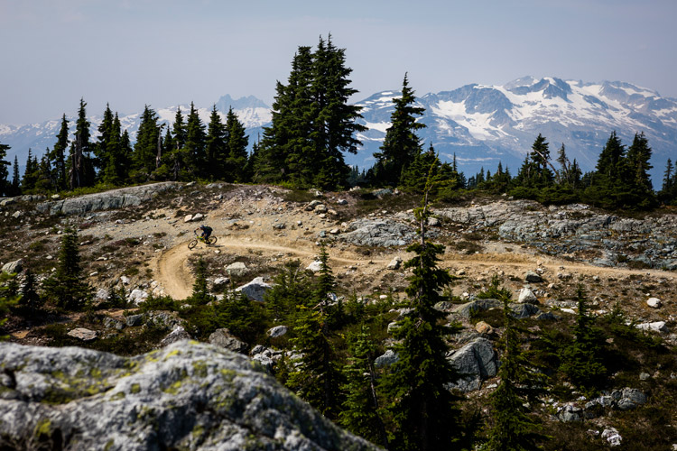 Biking Lord of the Squirrels in the Whistler alpine