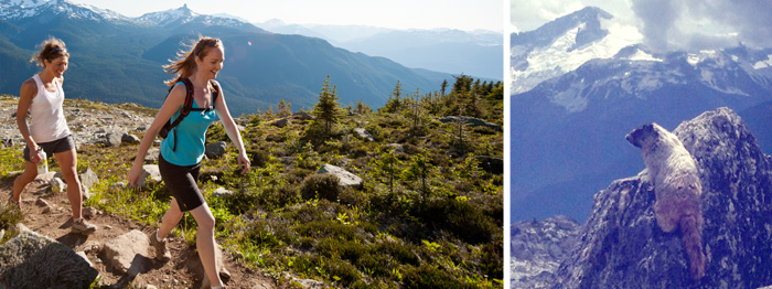 Whistler's beauties