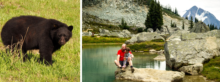 Whistler Alpine and Bears