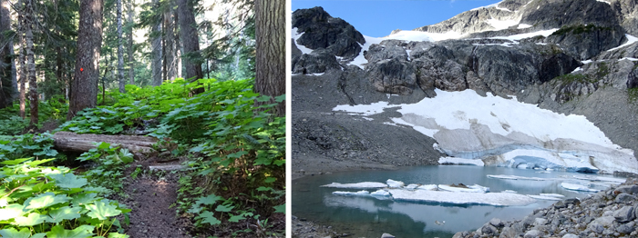 Sights on the Skywalk Hiking Trail Network in Whistler