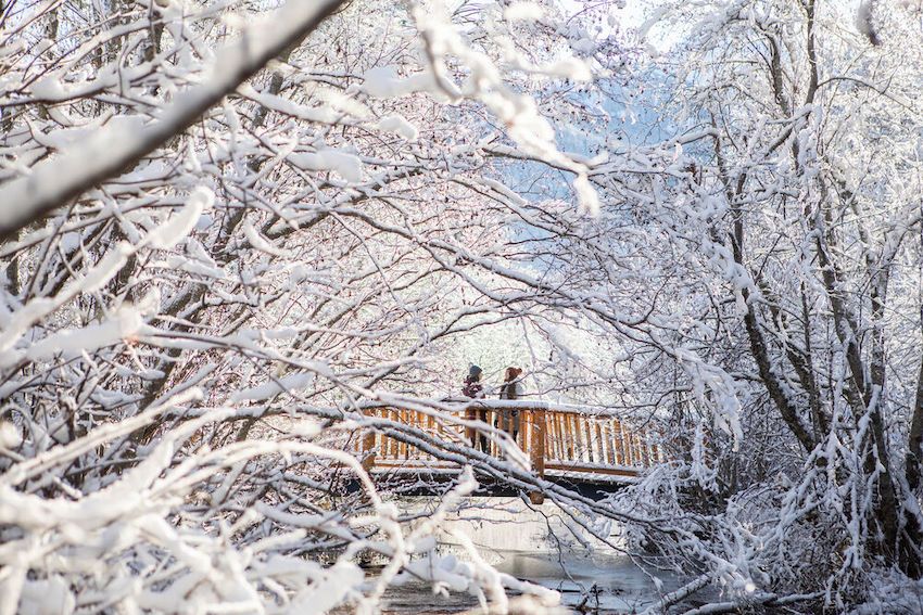 Two people on a bridge in a calm moment after a snow fall. 