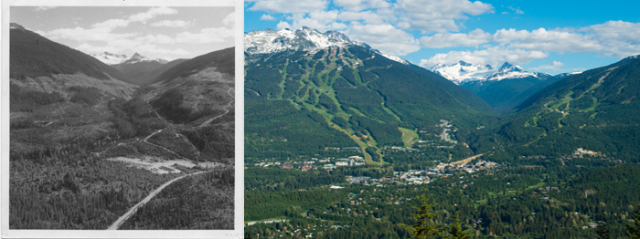 Cake & Concerts: Whistler Municipality’s 40th Birthday - The Whistler