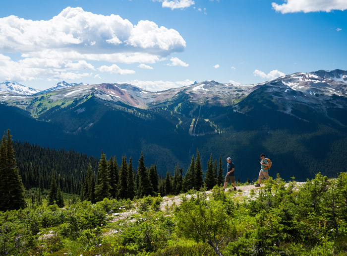 Alpine Hiking Trails On Whistler And Blackcomb Mountains