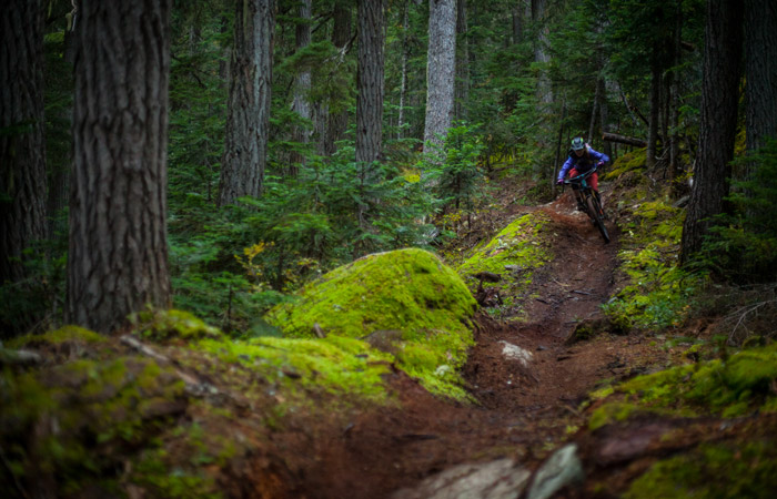 Mountain Biking Descent