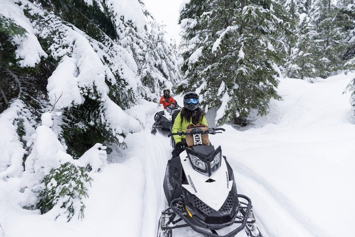 Snowmobiling in the Forest