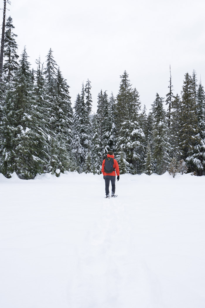 Snowshoeing in Callaghan Valley