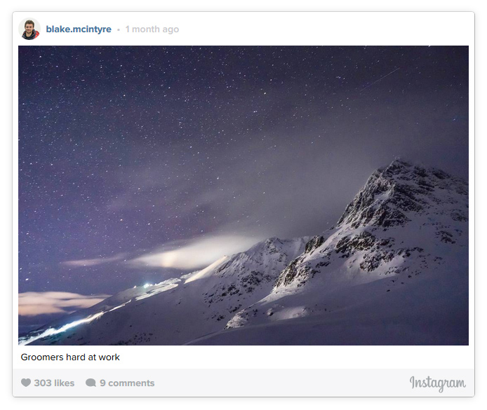 Groomers Working at Night