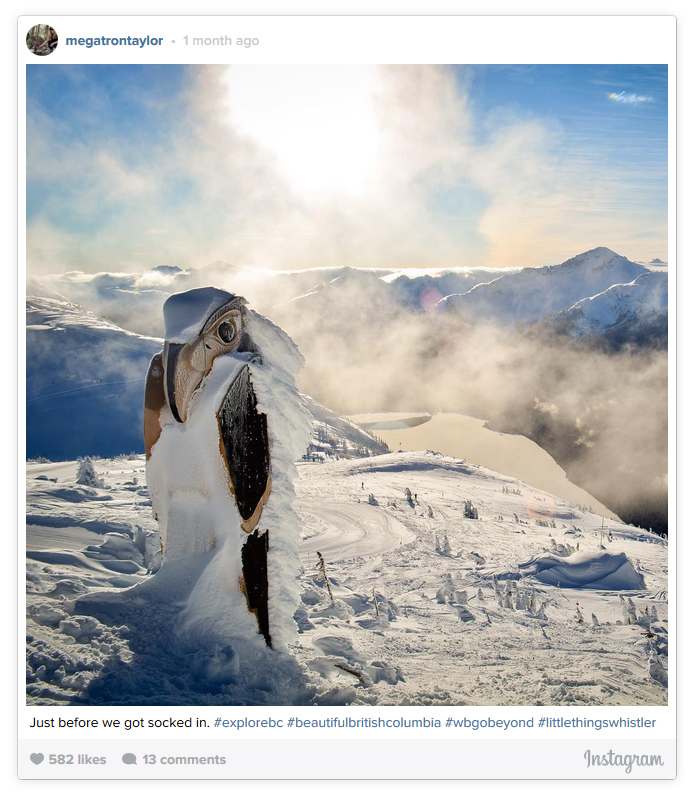 Snow Covered Raven Carving