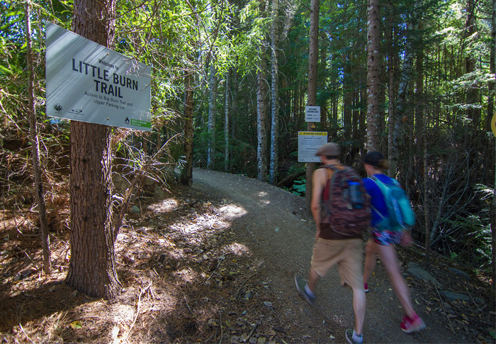 Blackcomb Ascent Trail Start