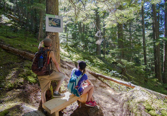 Interpretive Signs Ascent Trail