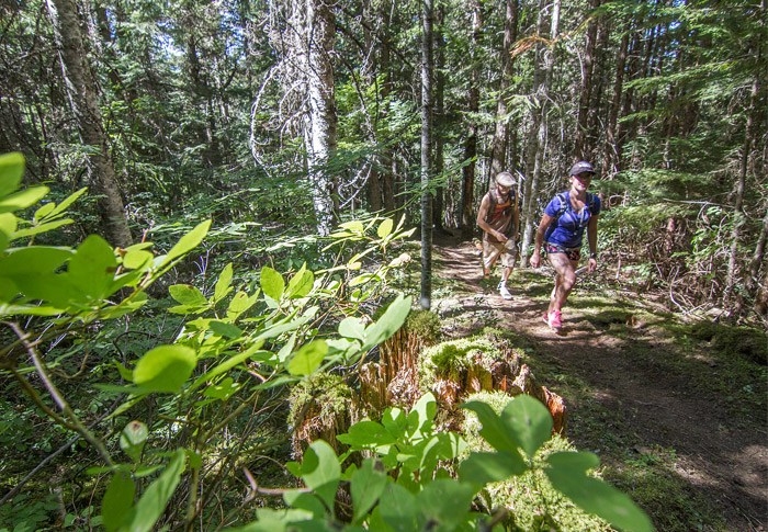 Hiking on Blackcomb