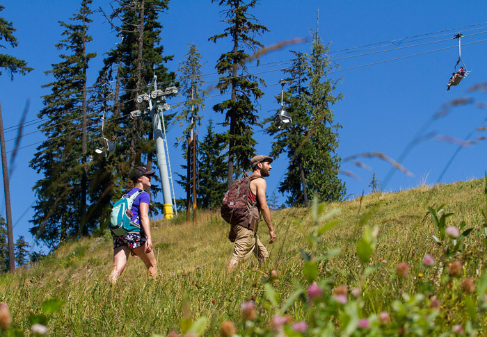 Blackcomb Mountain Sightseeing