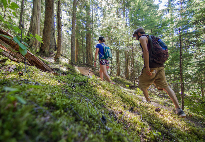 Interpretive Signs Burn Trails Whistler