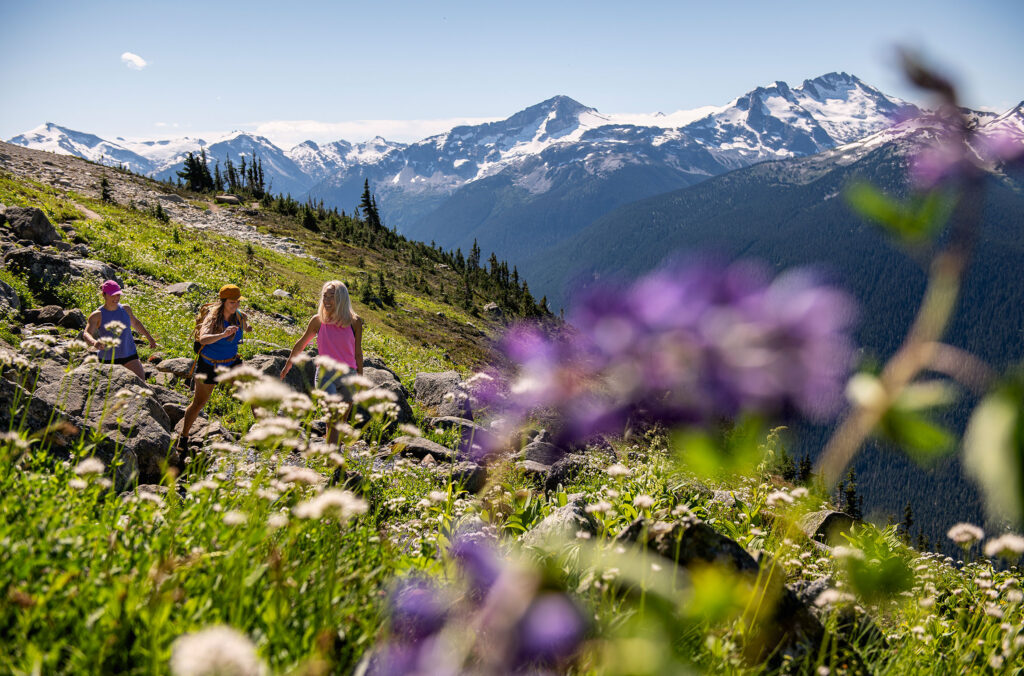 Hikers make their way along a trail