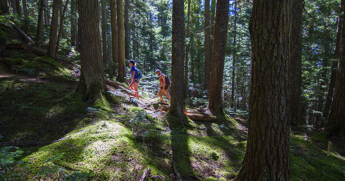 Blackcomb Ascent Hiking Trail: It's Time to Burn