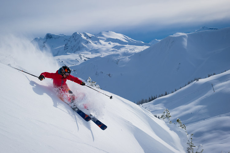 harmony bowl whistler