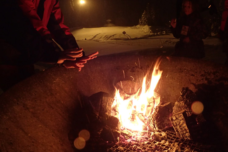 Firepit at Olympic Park