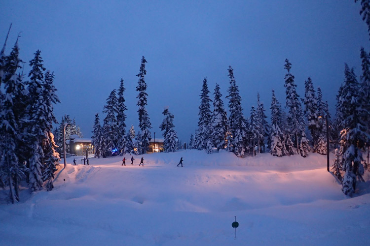 Nordic Skiing at Night in Whistler