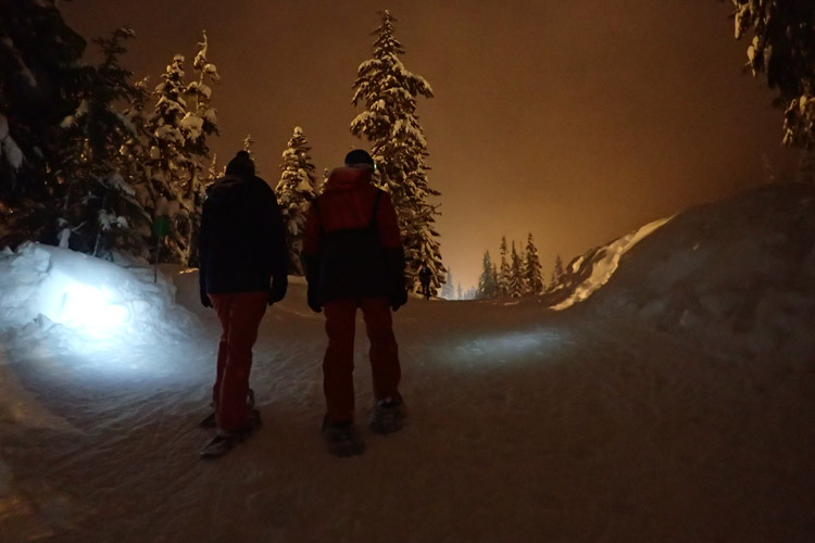 Snowshoeing at Night in Whistler