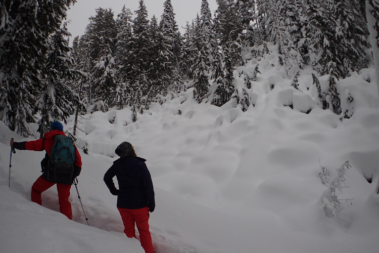 Snowshoeing in Whistler