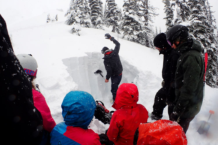 Testing the Snowpack