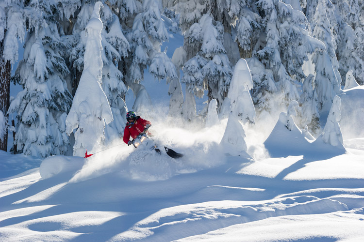 Snowmobiling in the Callaghan Valley with Canadian Wilderness Adventures