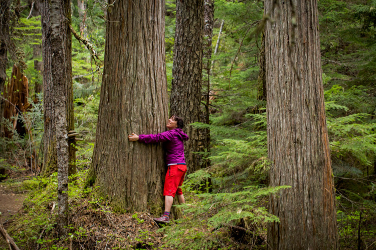 Spring Hiking in Whistler