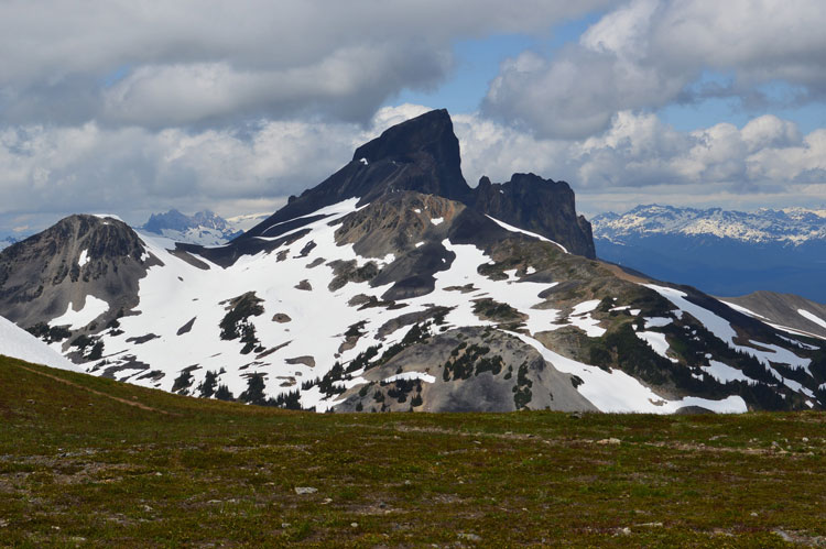 Black Tusk