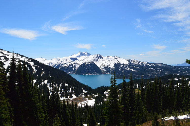 Black Tusk Trail View