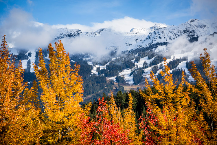 Fall in Whistler