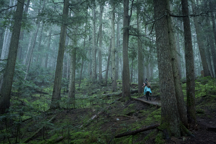 Whistler Autumn HIkes