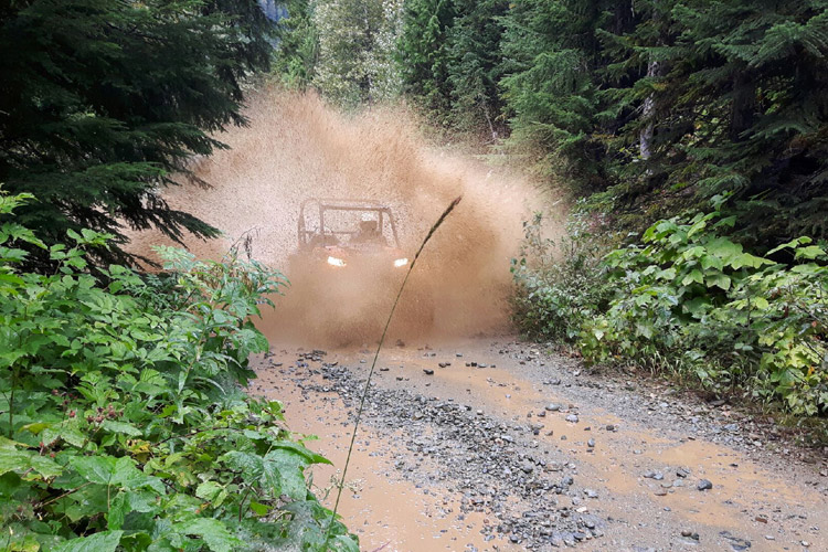 UTV Tour in Whistler in the Fall