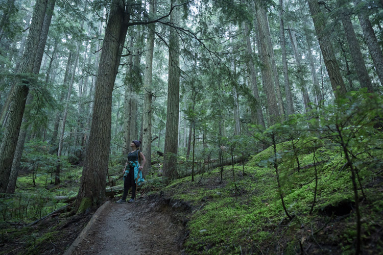 Big Burn hiking trail on Blackcomb mountain