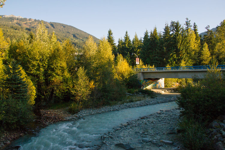 Arts and Culture in Whistler