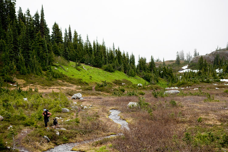 Hiking to Iceberg Lake in Whistler