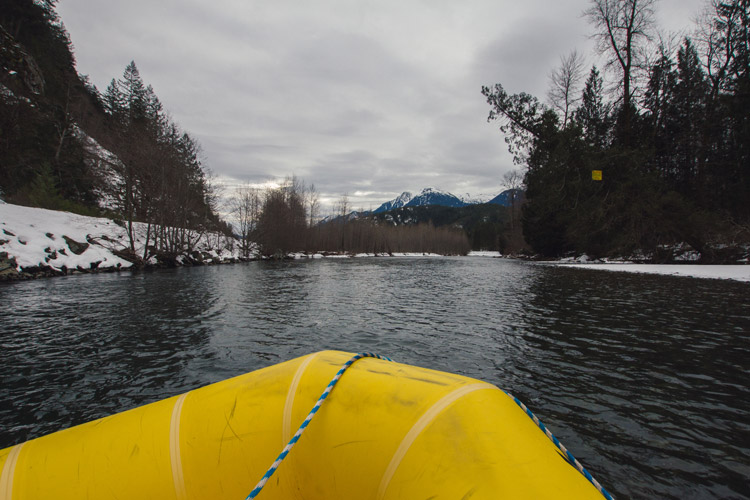 Winter Eagle Viewing Tour with Squamish Rafting Company