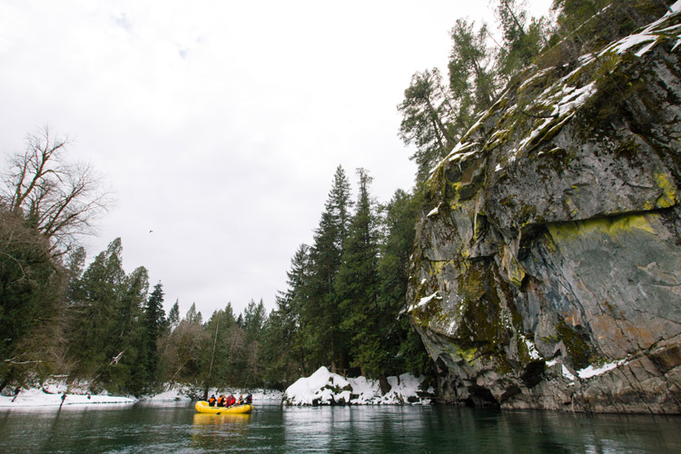 Winter Eagle Viewing Tour with Squamish Rafting Company