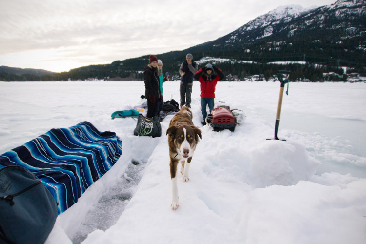 Winter Picnic in Whistler