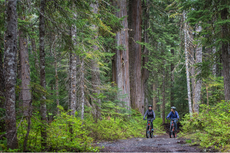 Whistler E-bike Mountainbike tours